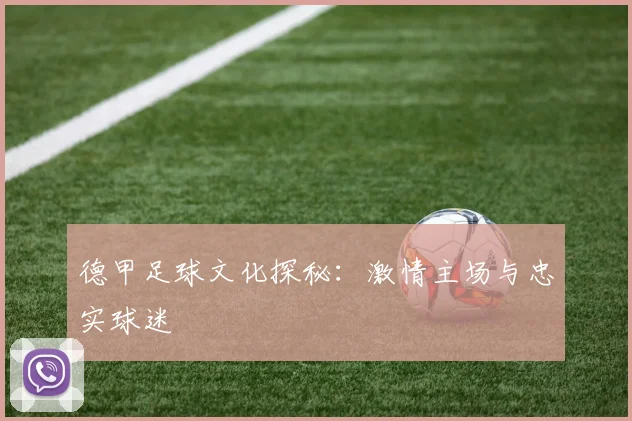 德甲足球文化探秘:激情主场与忠实球迷